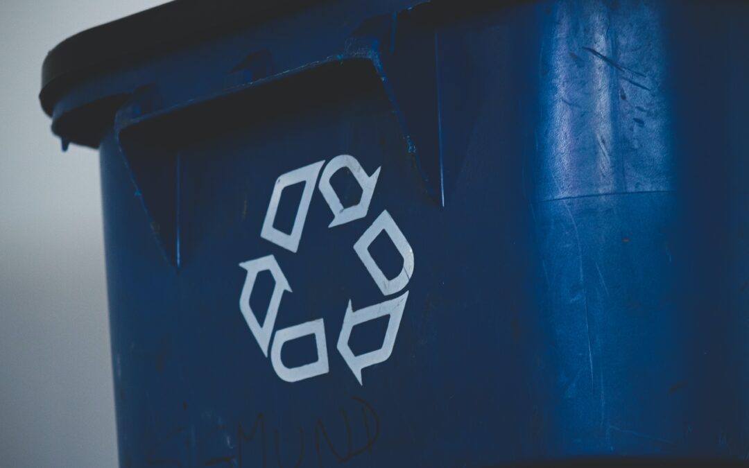 5 Reasons Why You Should Be Investing in Bin Rentals